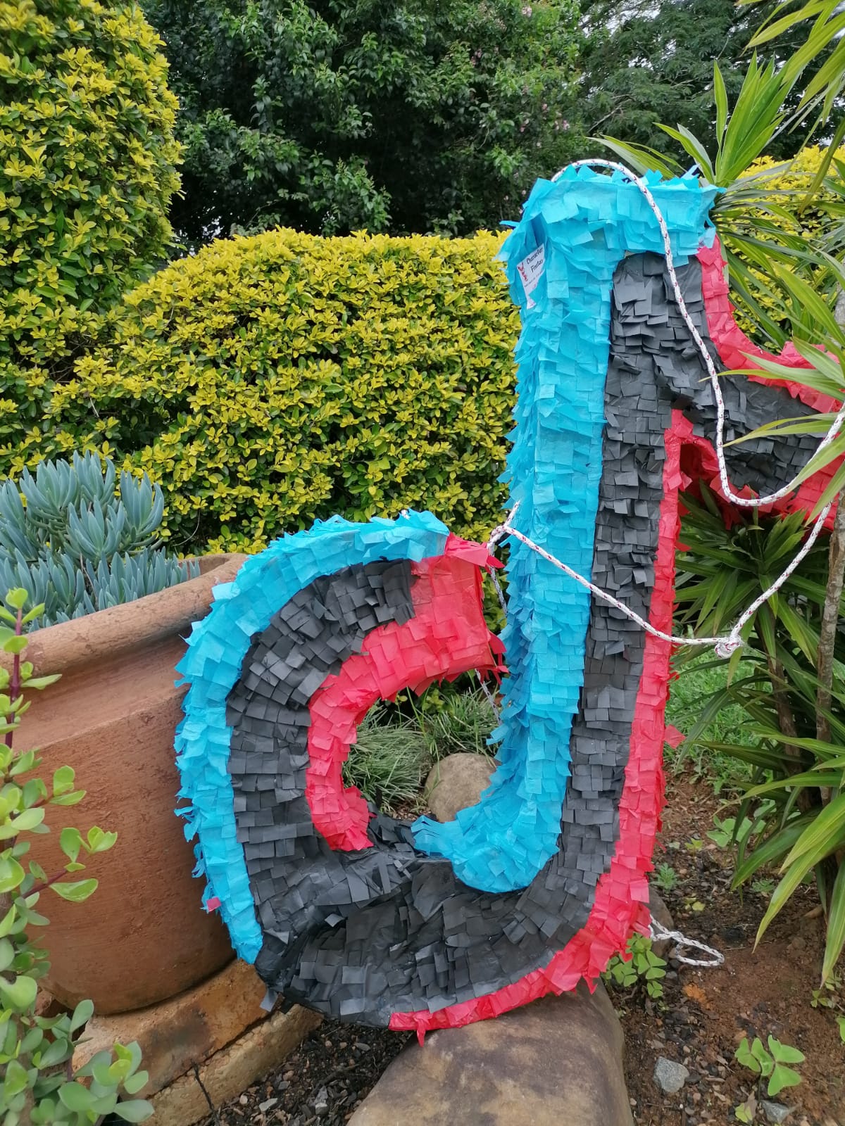 tiktok pinata