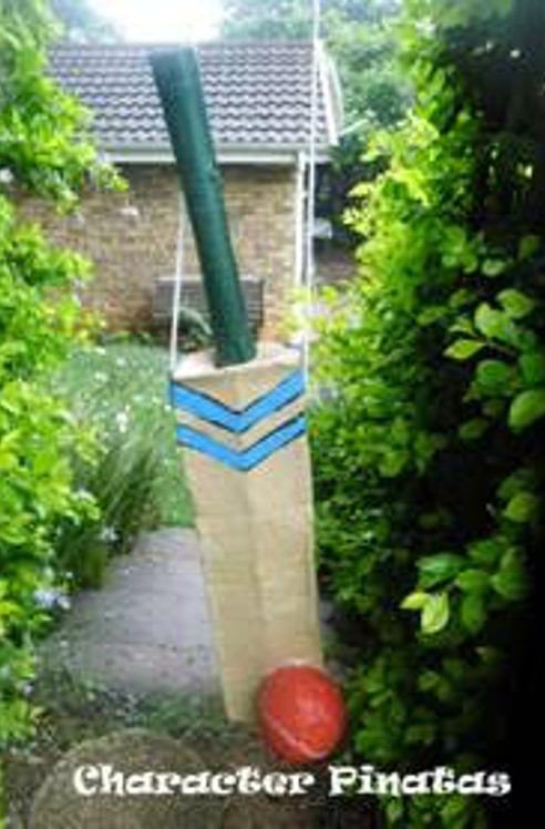 cricket pinata